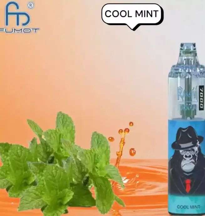 RandM Tornado 7000 Puffs Rechargeable avec 56 Saveurs Fruitées