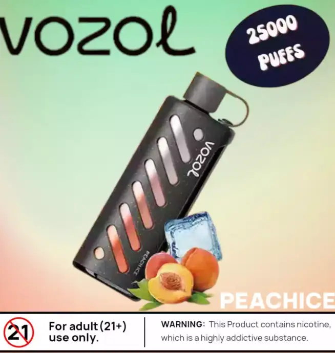 Vozol Gear Shisha 25000 Puffs Vape Rechargeable LED 5%