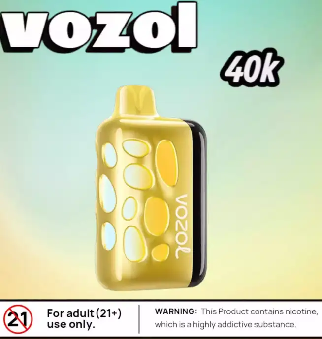 Vozol RAVE 40k Puffs Vape LED Rechargeable 50k Bouffées