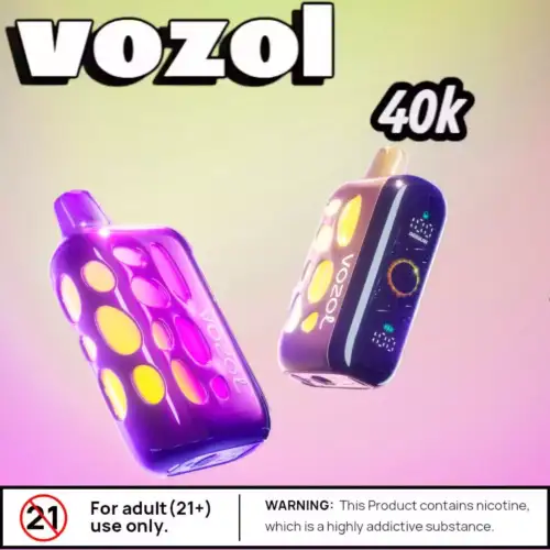 Vozol RAVE 40k Puffs Vape LED Rechargeable 50k Bouffées