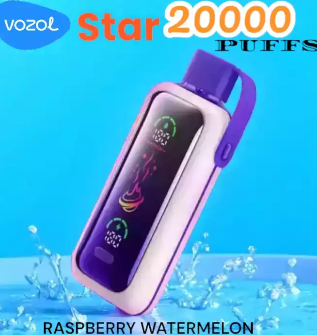 Vozol Star 20000 Puffs Vape 24ml Rechargeable 2% ou 5%