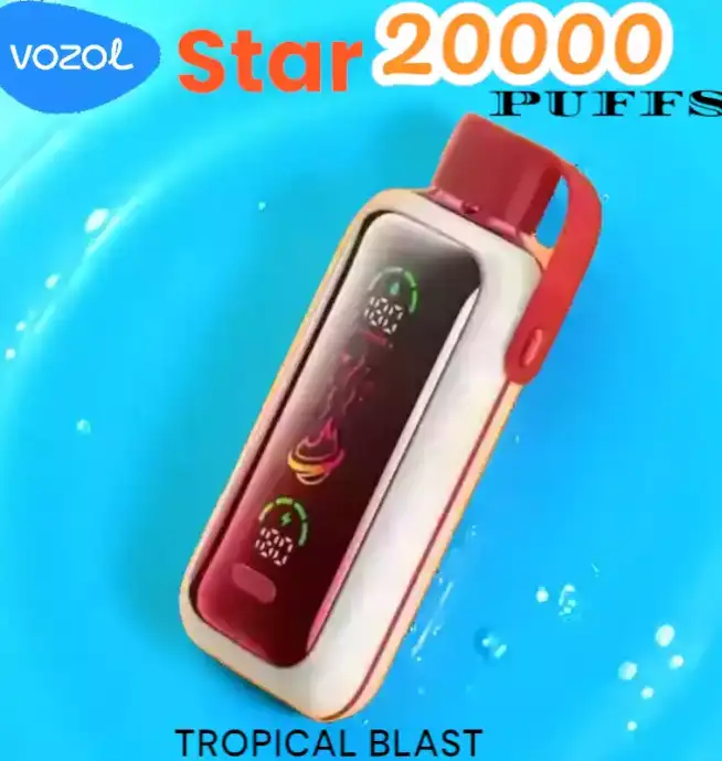 Vozol Star 20000 Puffs Vape 24ml Rechargeable 2% ou 5%