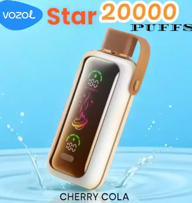 Vozol Star 20000 Puffs Vape 24ml Rechargeable 2% ou 5%