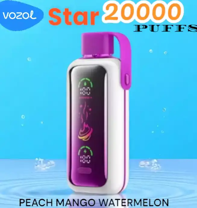 Vozol Star 20000 Puffs Vape 24ml Rechargeable 2% ou 5%