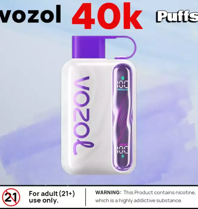 Vozol Star 40K Puffs Rechargeable Puff avec 40 000 bouffées