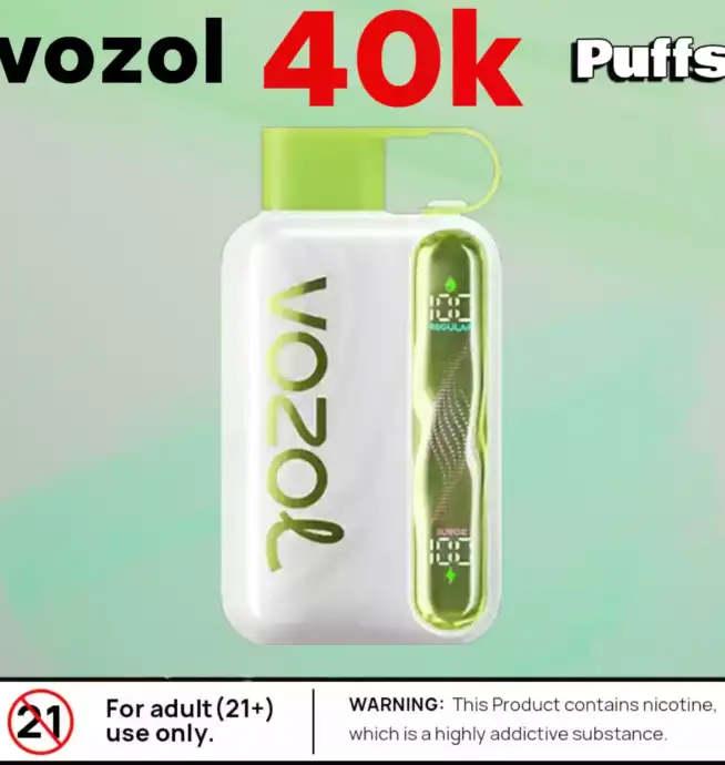 Vozol Star 40K Puffs Rechargeable Puff avec 40 000 bouffées