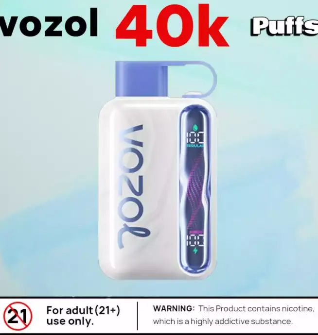 Vozol Star 40K Puffs Rechargeable Puff avec 40 000 bouffées