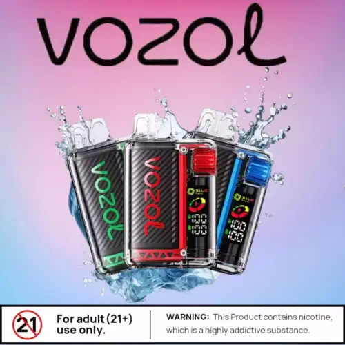 Vozol Vista 20000 Puffs Puff Écologique Rechargeable 2 %