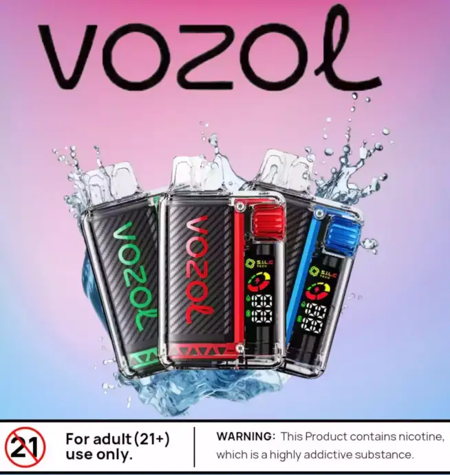 Vozol Vista 20000 Puffs Puff Écologique Rechargeable 2 %