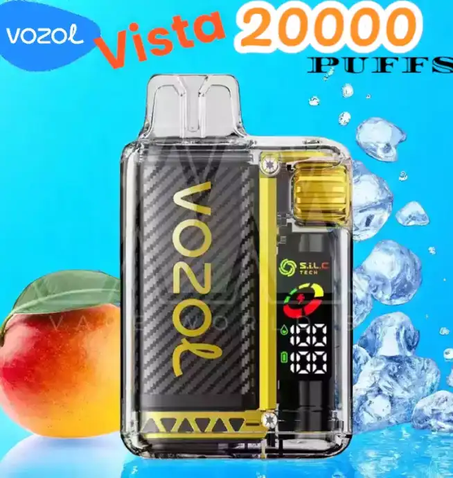 Vozol Vista 20000 Puffs Puff Écologique Rechargeable 2 %