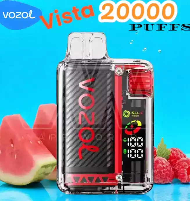 Vozol Vista 20000 Puffs Puff Écologique Rechargeable 2 %