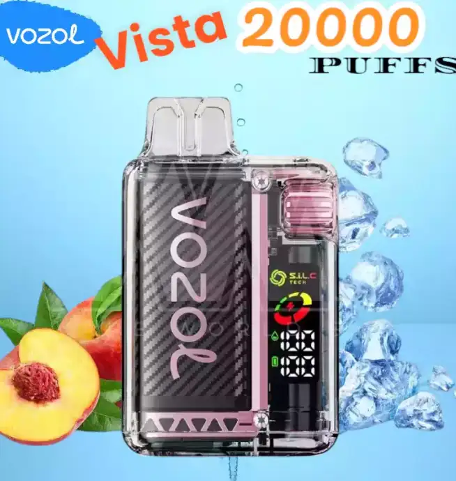 Vozol Vista 20000 Puffs Puff Écologique Rechargeable 2 %