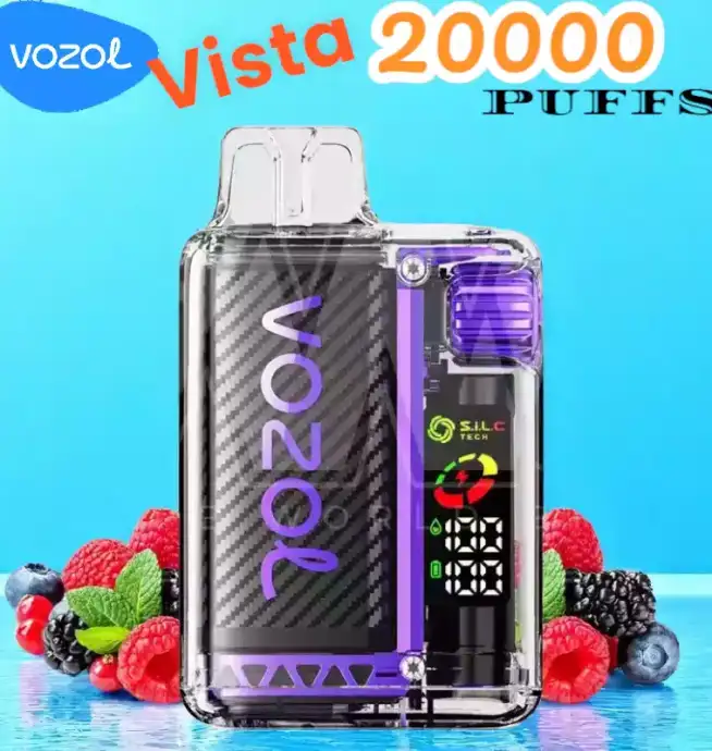 Vozol Vista 20000 Puffs Puff Écologique Rechargeable 2 %