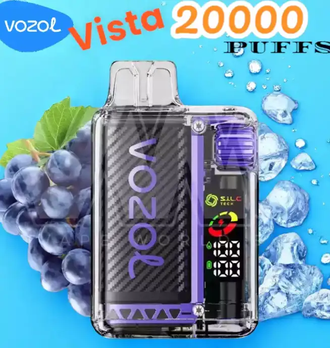 Vozol Vista 20000 Puffs Puff Écologique Rechargeable 2 %