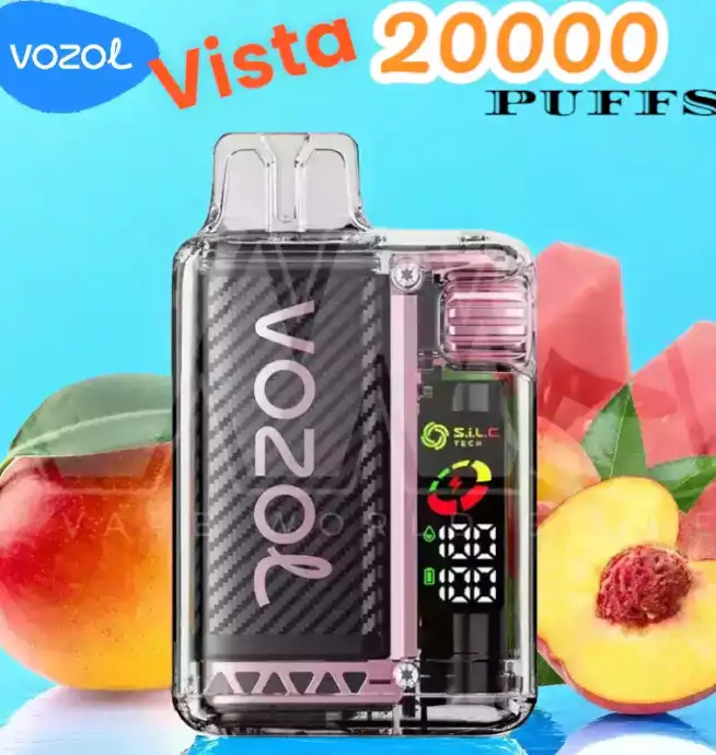 Vozol Vista 20000 Puffs Puff Écologique Rechargeable 2 %