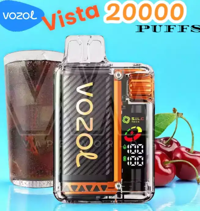 Vozol Vista 20000 Puffs Puff Écologique Rechargeable 2 %
