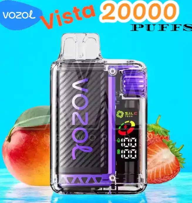 Vozol Vista 20000 Puffs Puff Écologique Rechargeable 2 %